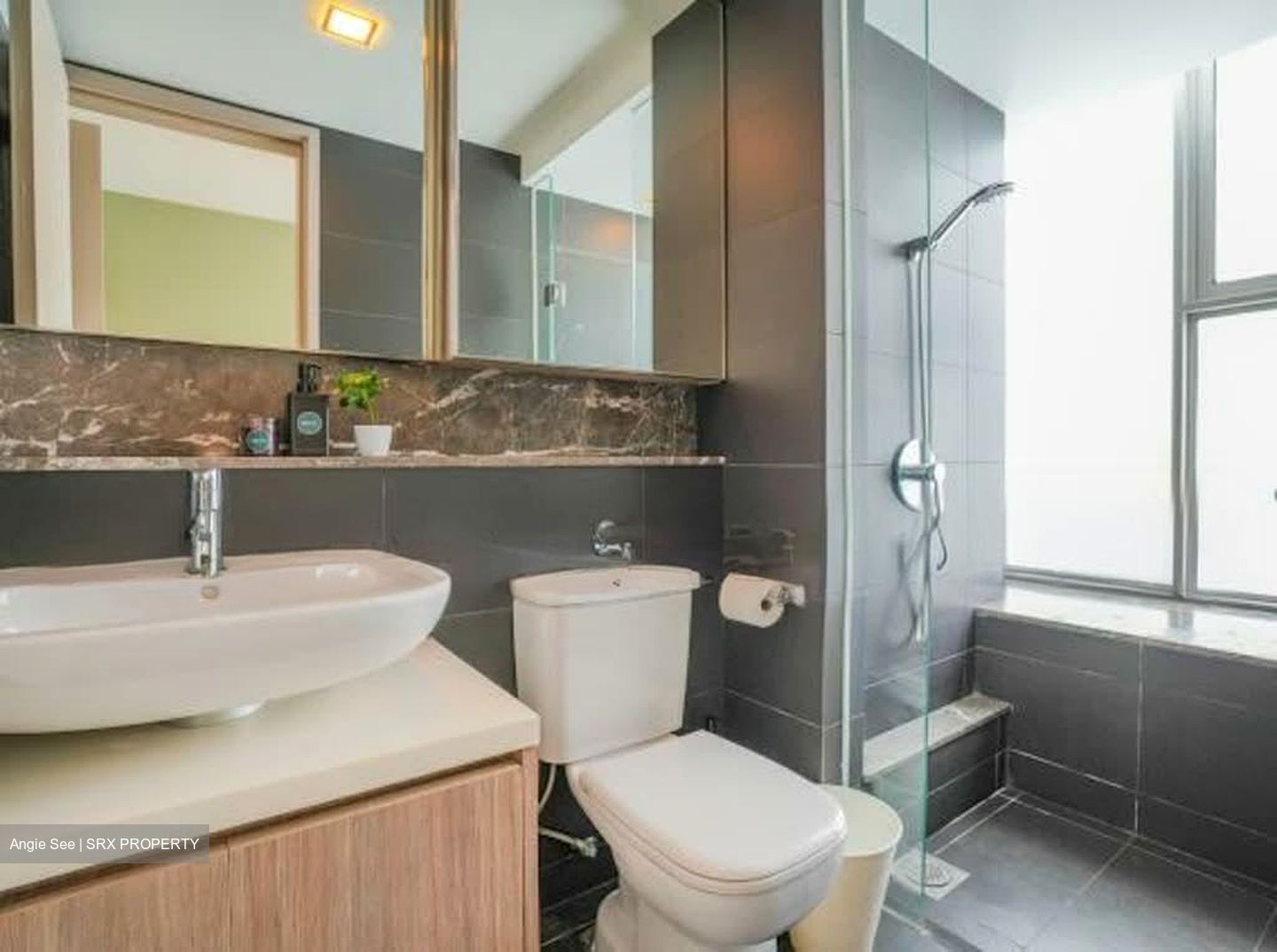 Optima @ Tanah Merah (D16), Condominium #559250081